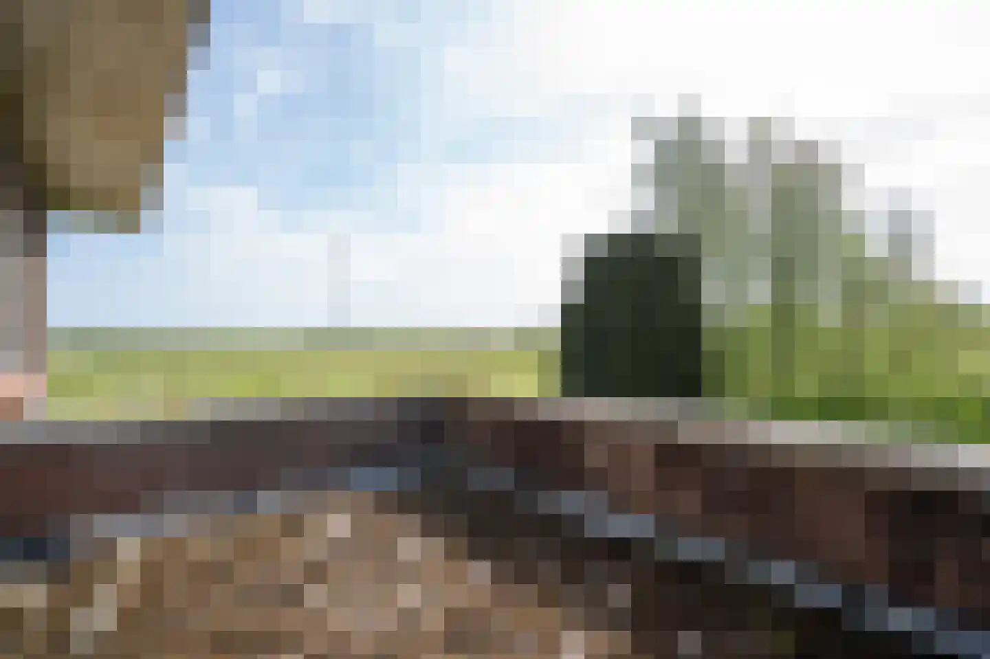 Biesbosch 30 Drimmelen thumbnail 40