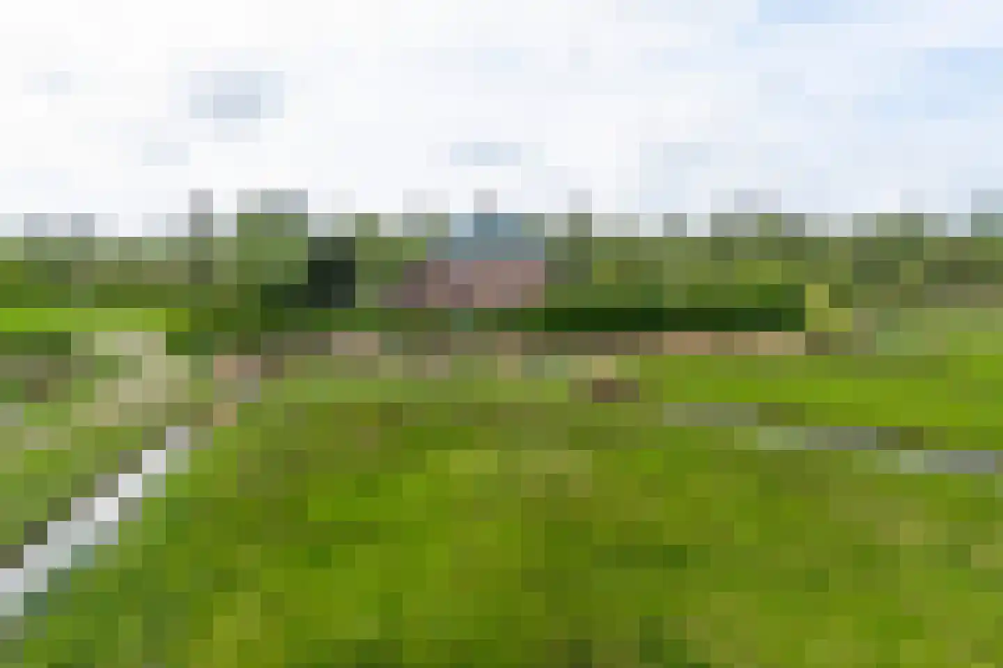 Biesbosch 30 Drimmelen thumbnail 51