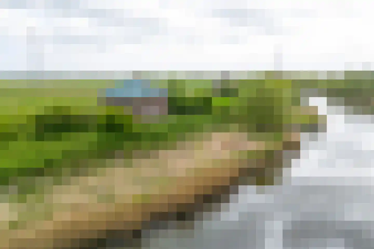 Biesbosch 30 Drimmelen thumbnail 52