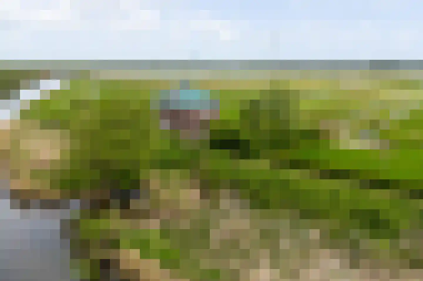 Biesbosch 30 Drimmelen thumbnail 53