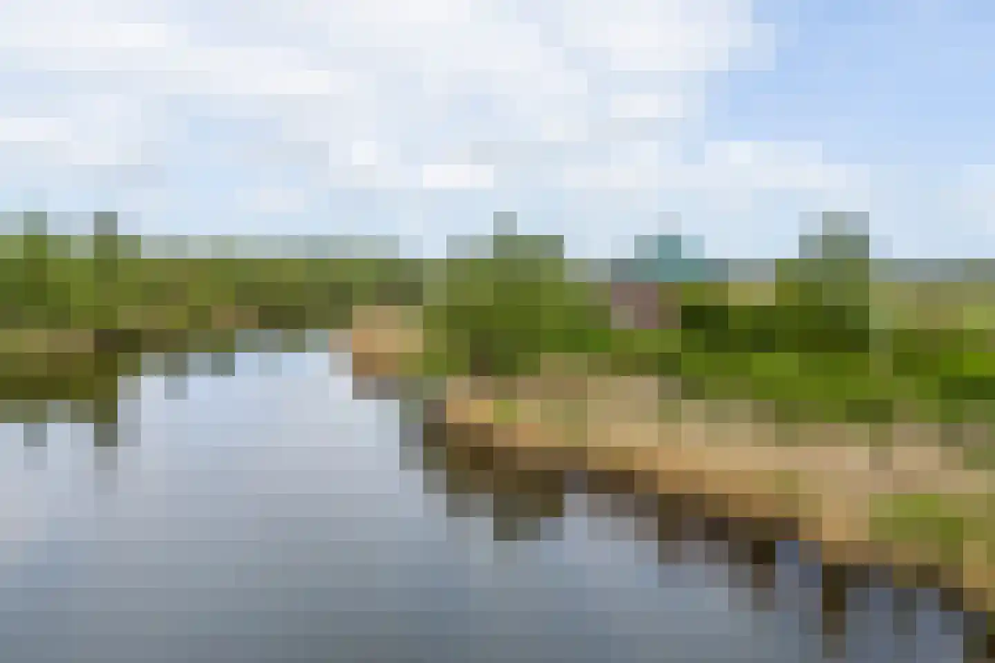 Biesbosch 30 Drimmelen thumbnail 54