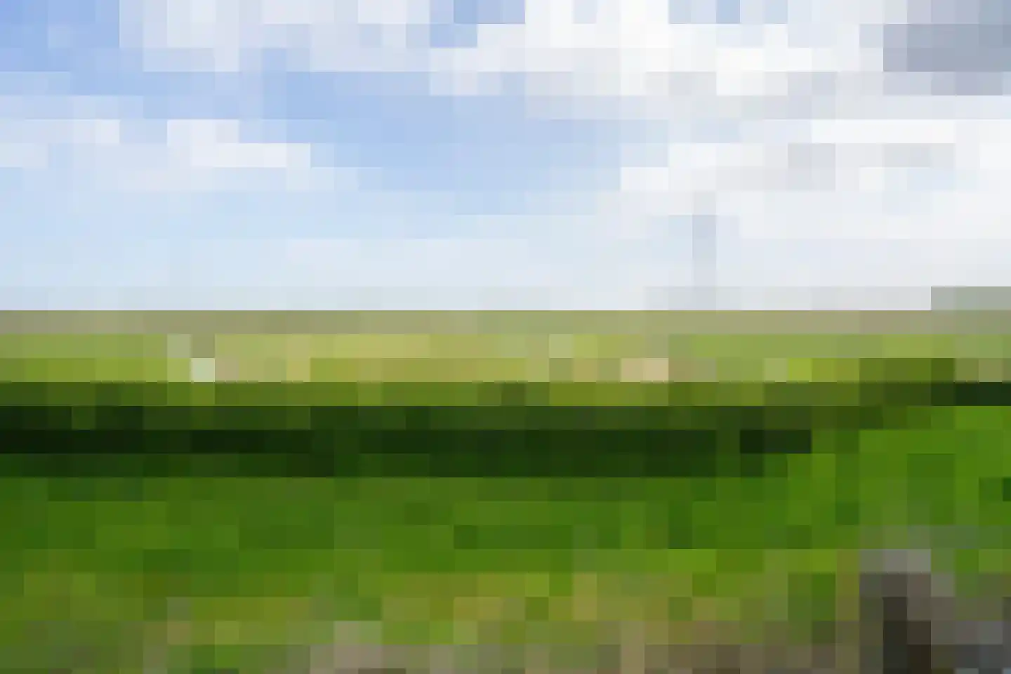 Biesbosch 30 Drimmelen thumbnail 55