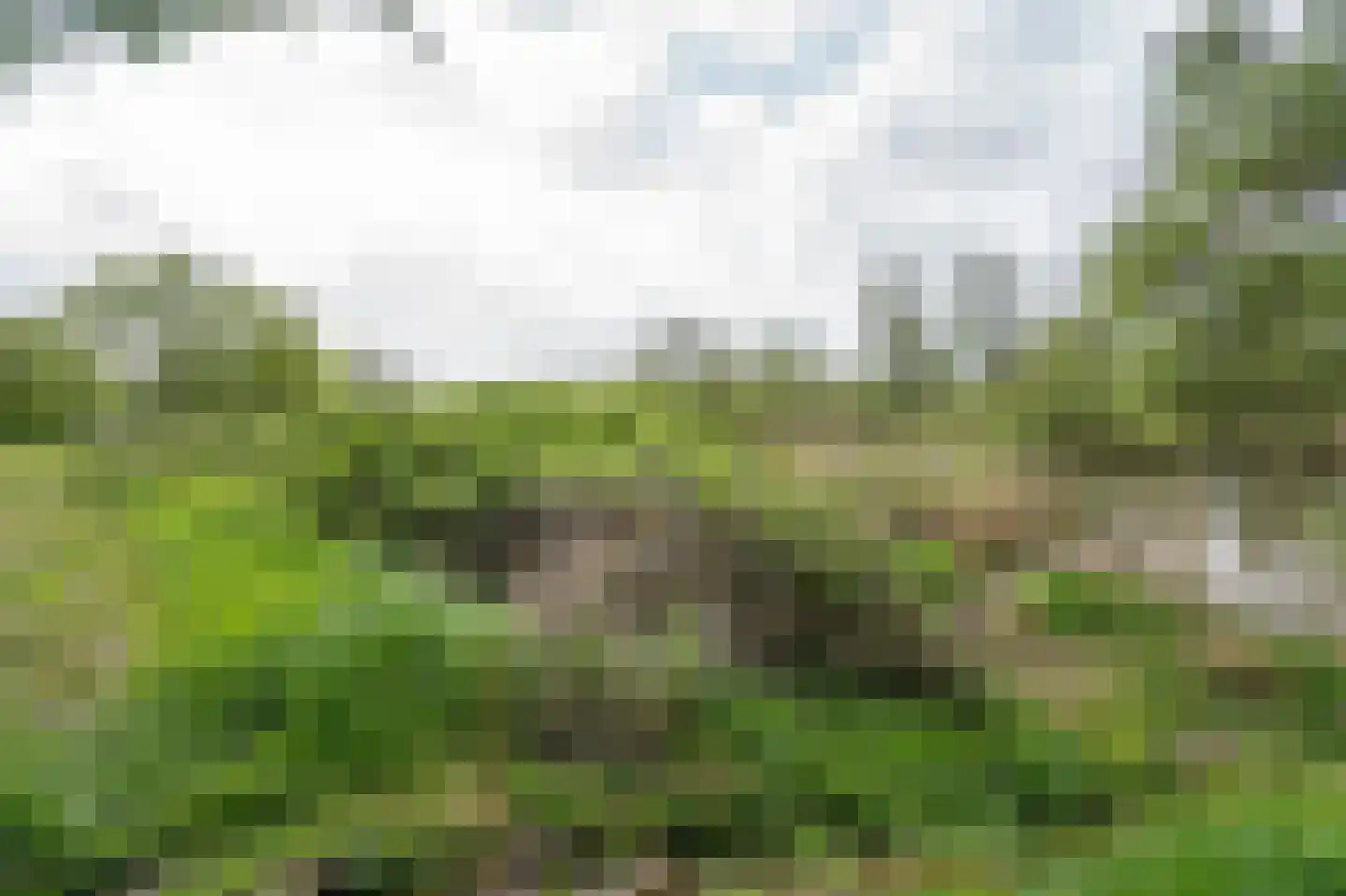 Biesbosch 30 Drimmelen thumbnail 59
