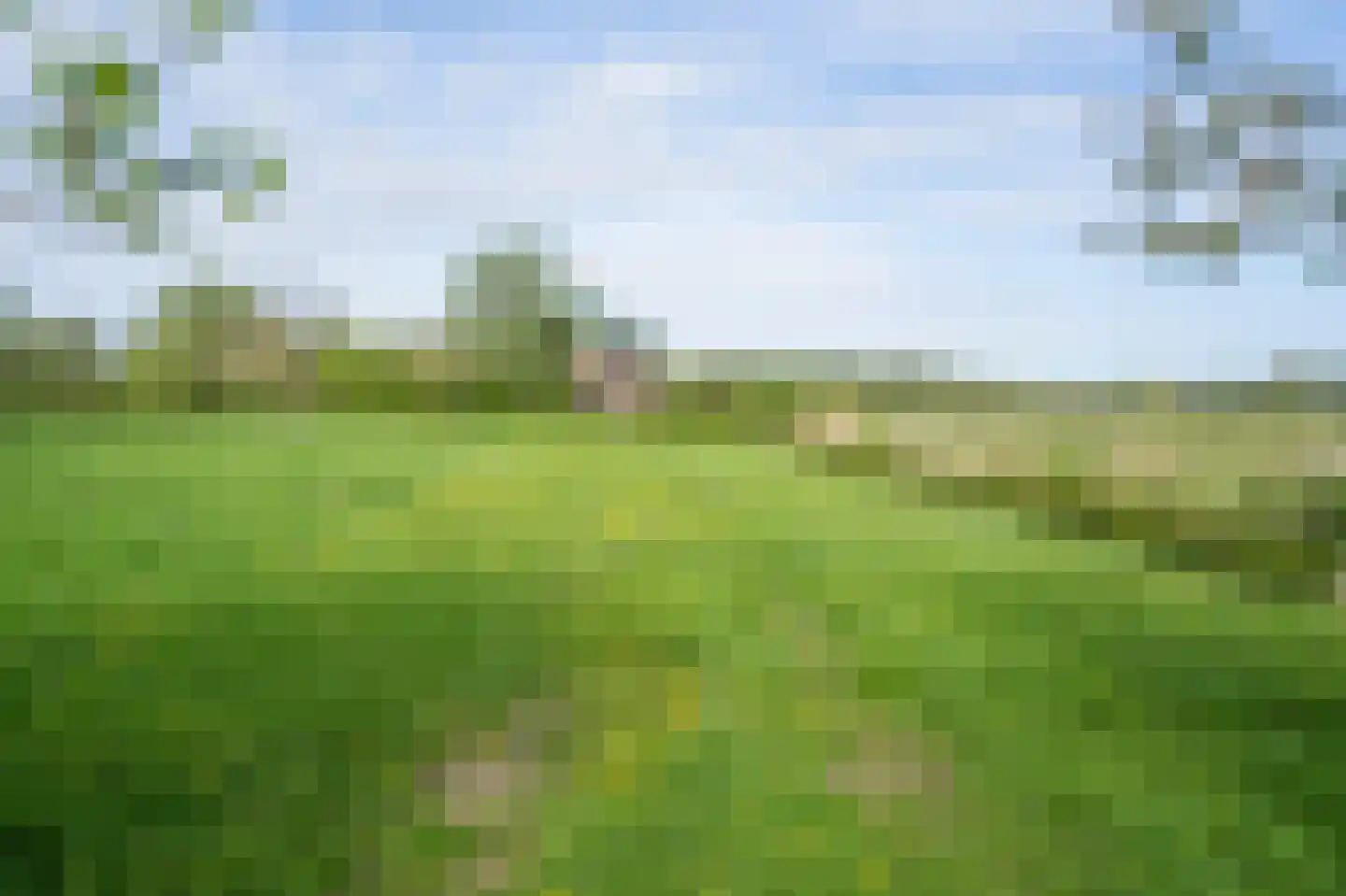 Biesbosch 30 Drimmelen thumbnail 60