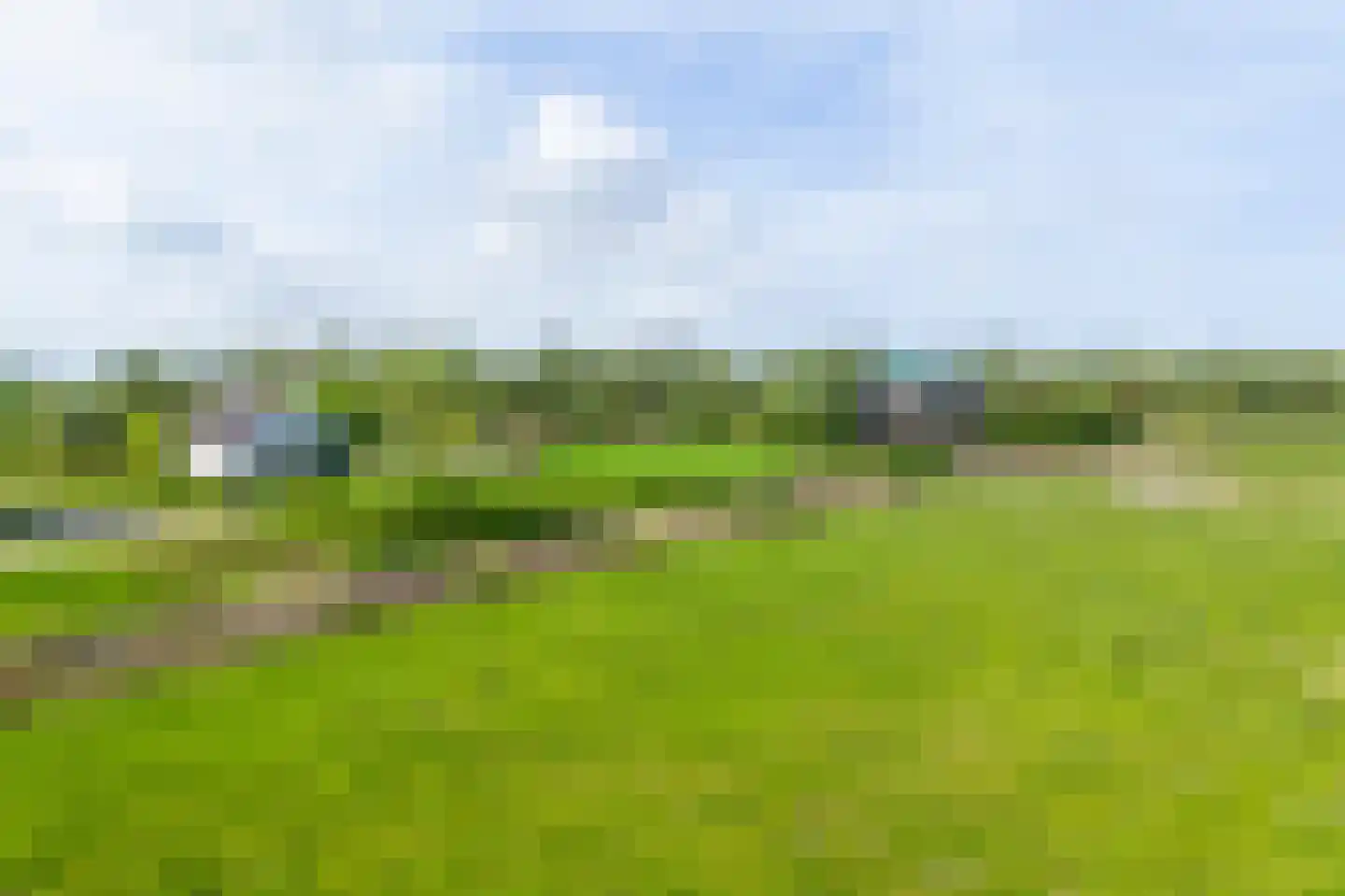 Biesbosch 30 Drimmelen thumbnail 61