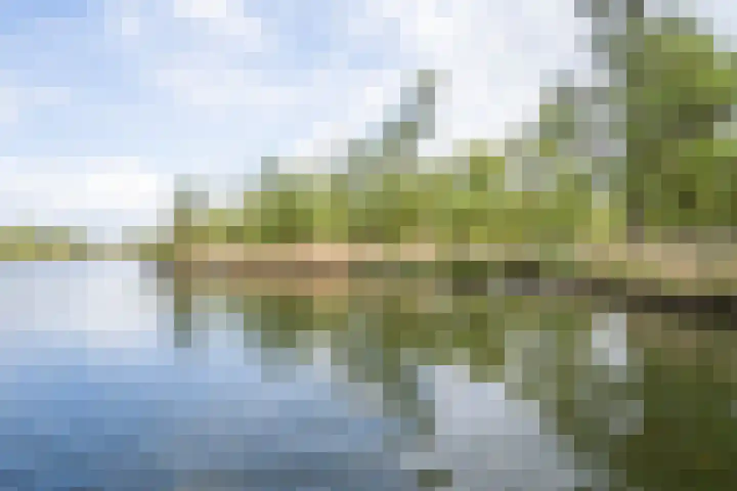 Biesbosch 30 Drimmelen thumbnail 62