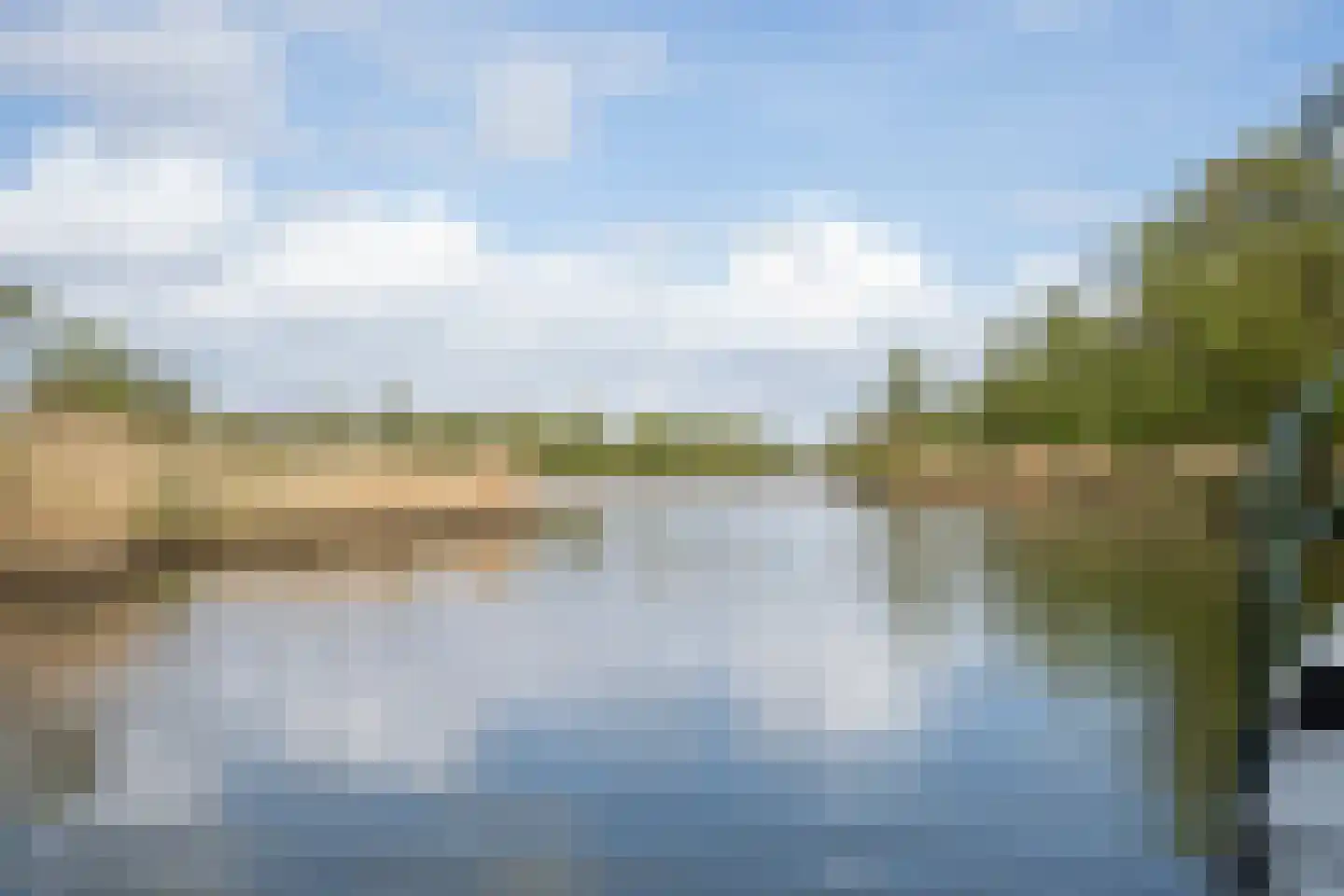 Biesbosch 30 Drimmelen thumbnail 65