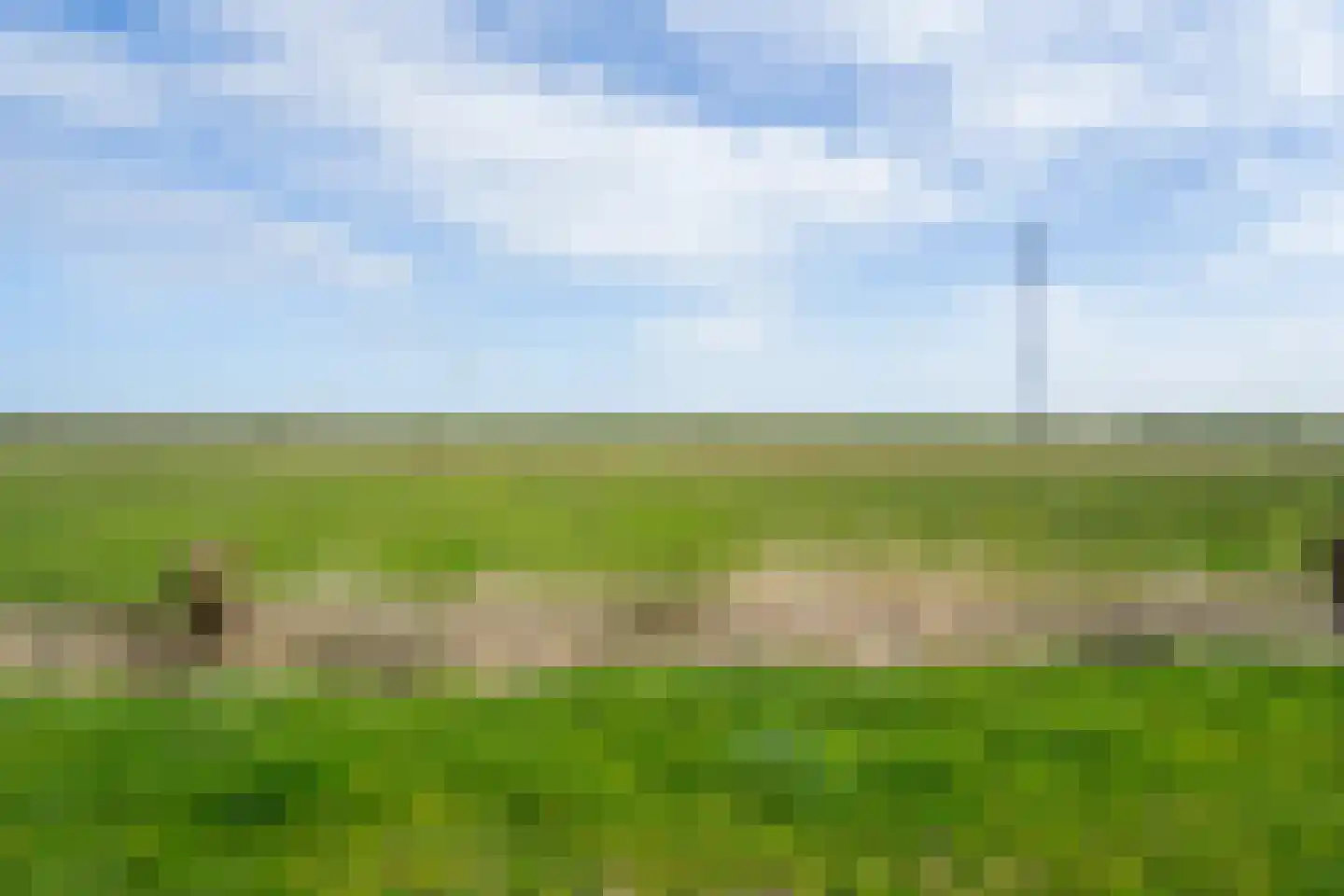 Biesbosch 32 Drimmelen thumbnail 35