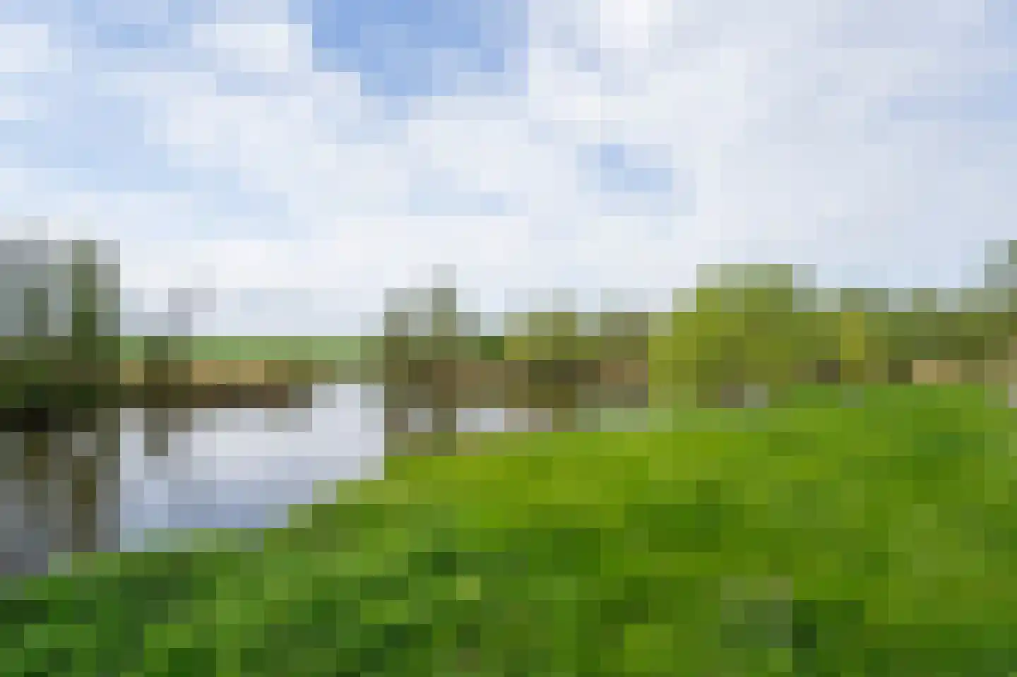 Biesbosch 32 Drimmelen thumbnail 36