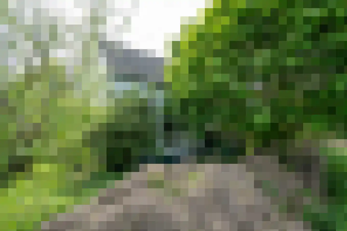 Biesbosch 32 Drimmelen thumbnail 37