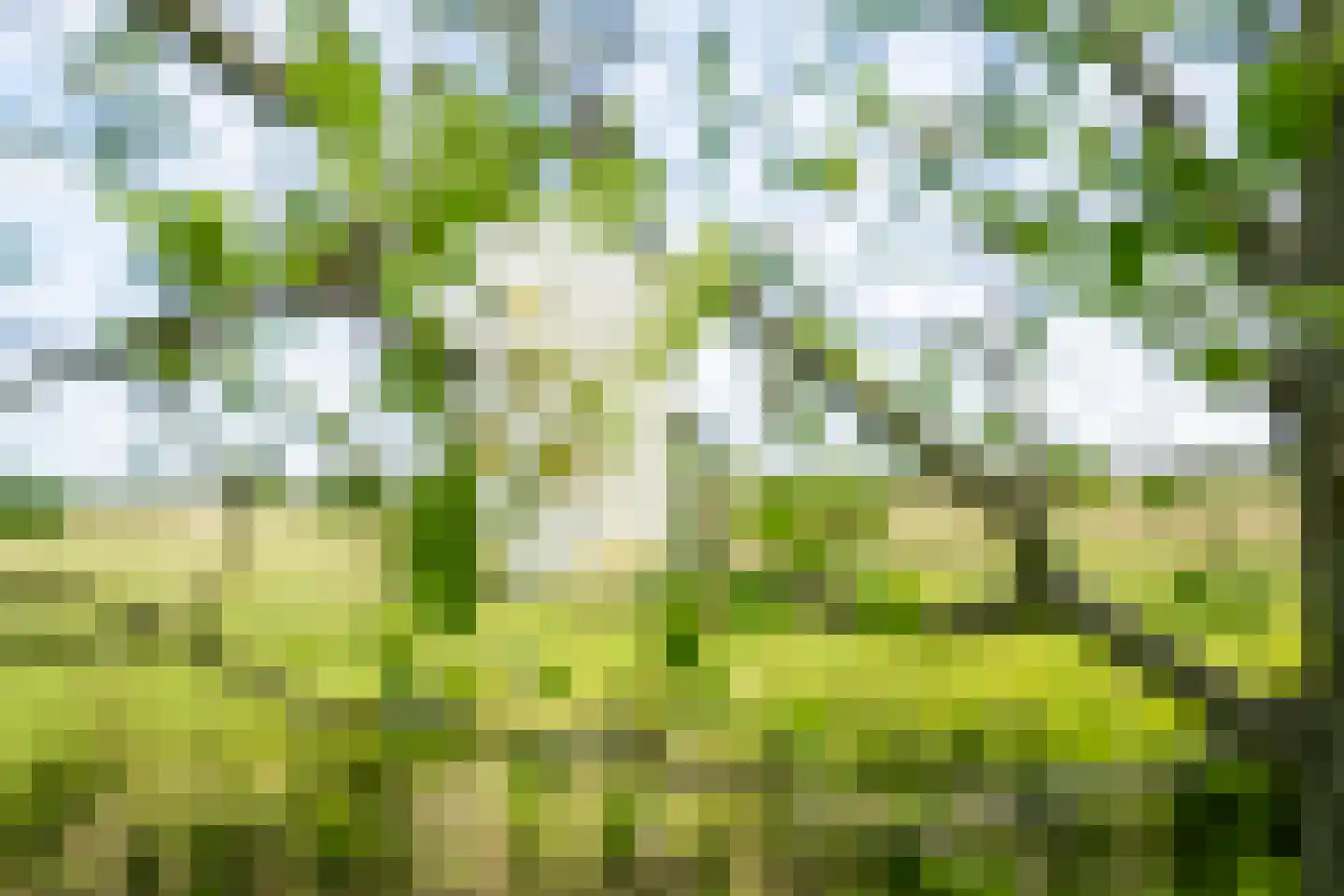 Biesbosch 32 Drimmelen thumbnail 38