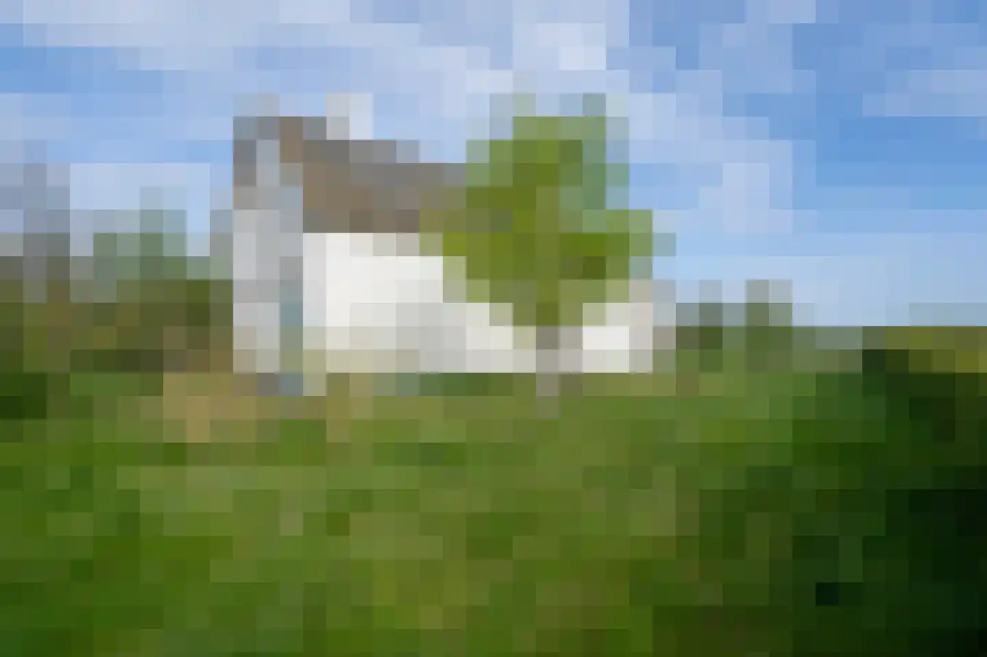 Biesbosch 32 Drimmelen thumbnail 4