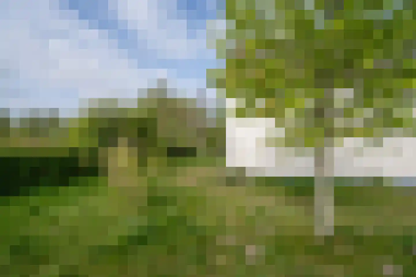Biesbosch 32 Drimmelen thumbnail 41