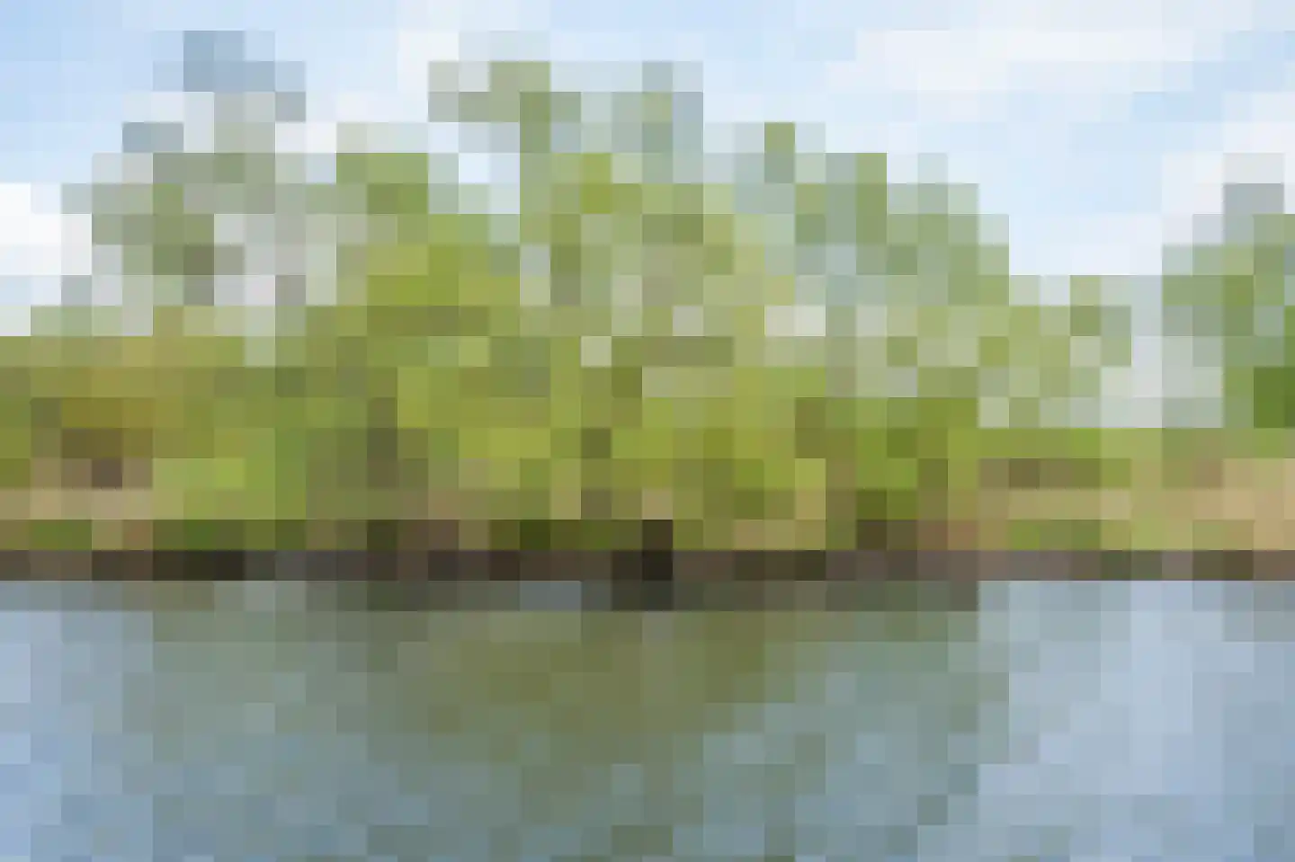 Biesbosch 32 Drimmelen thumbnail 44