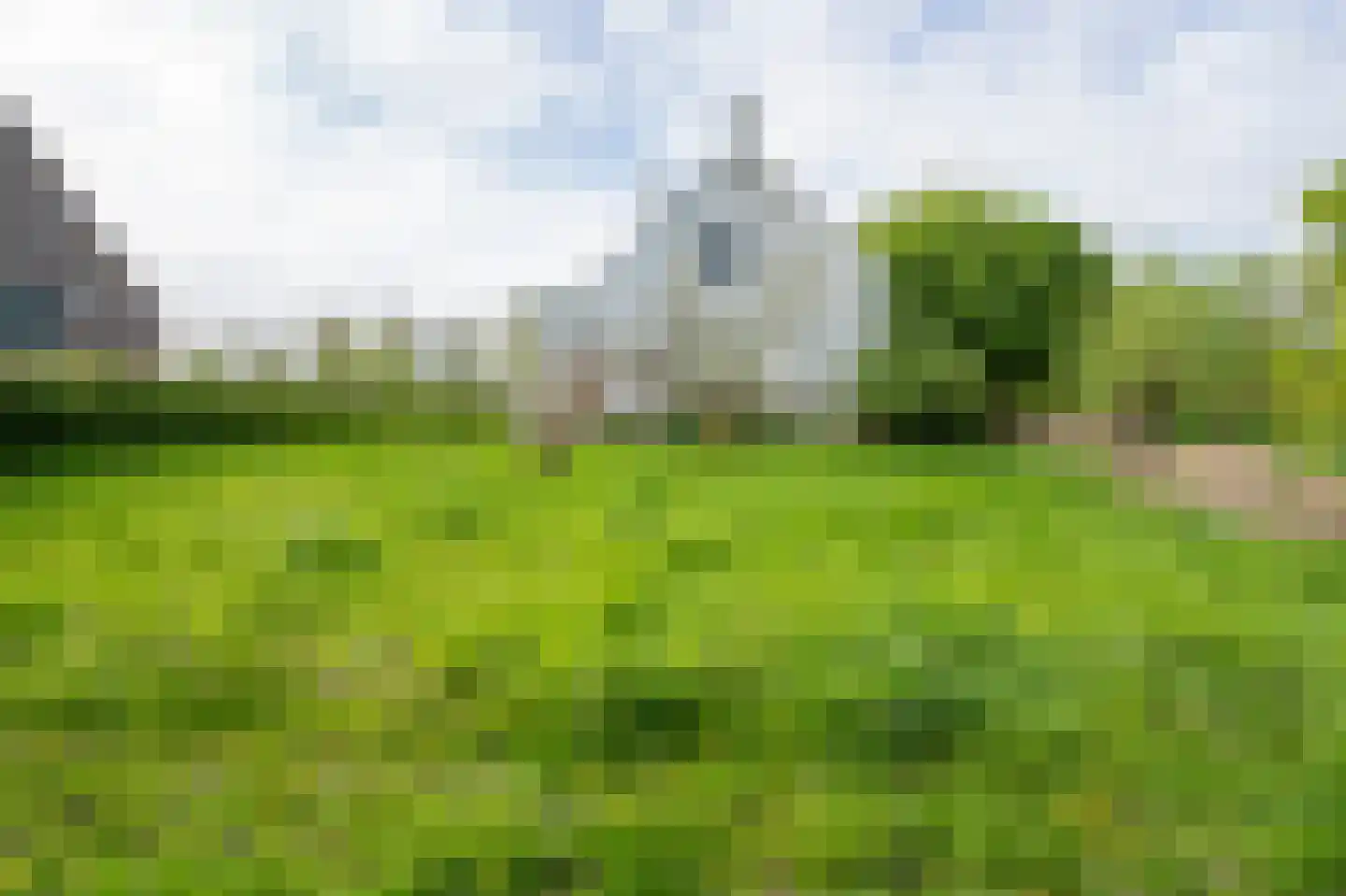 Biesbosch 32 Drimmelen thumbnail 7