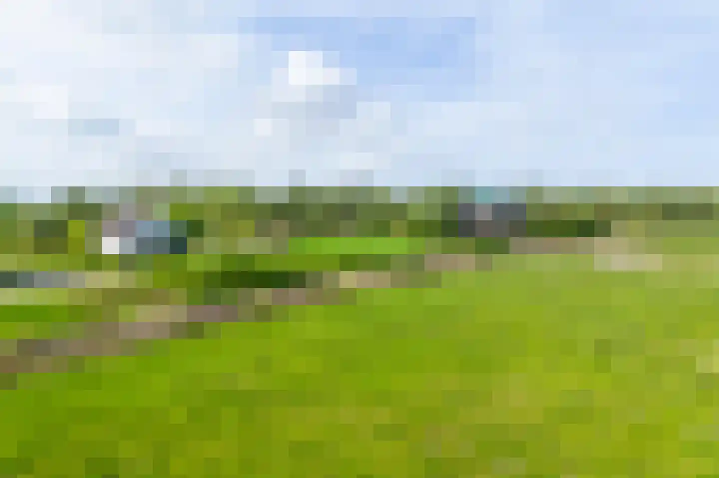 Biesbosch 32 Drimmelen thumbnail 9