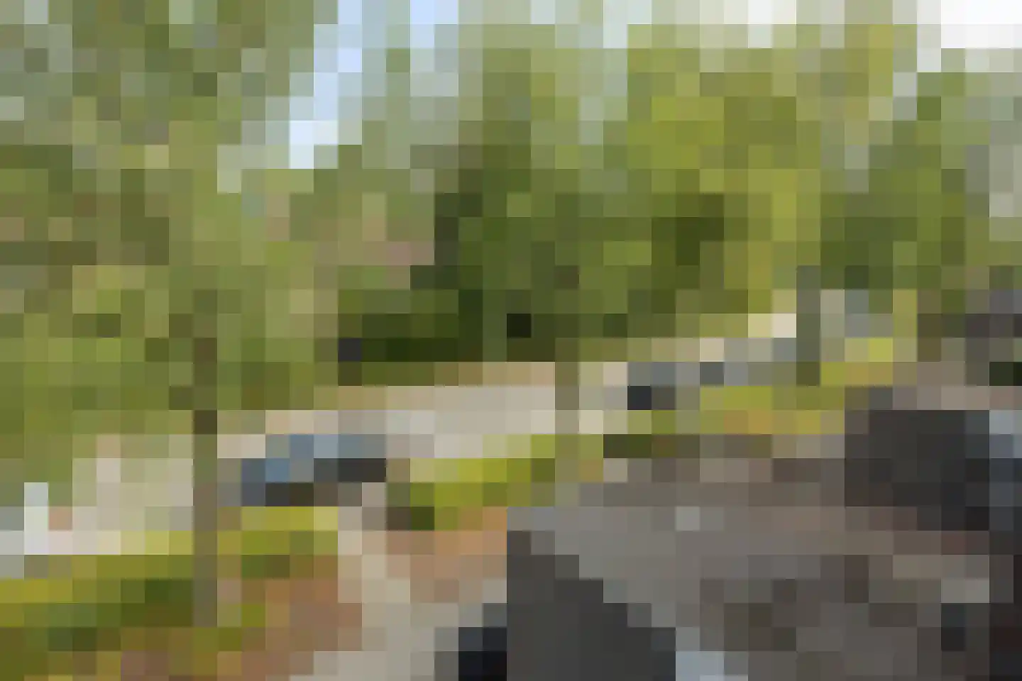 Biesbosch 33 Diemen thumbnail 32
