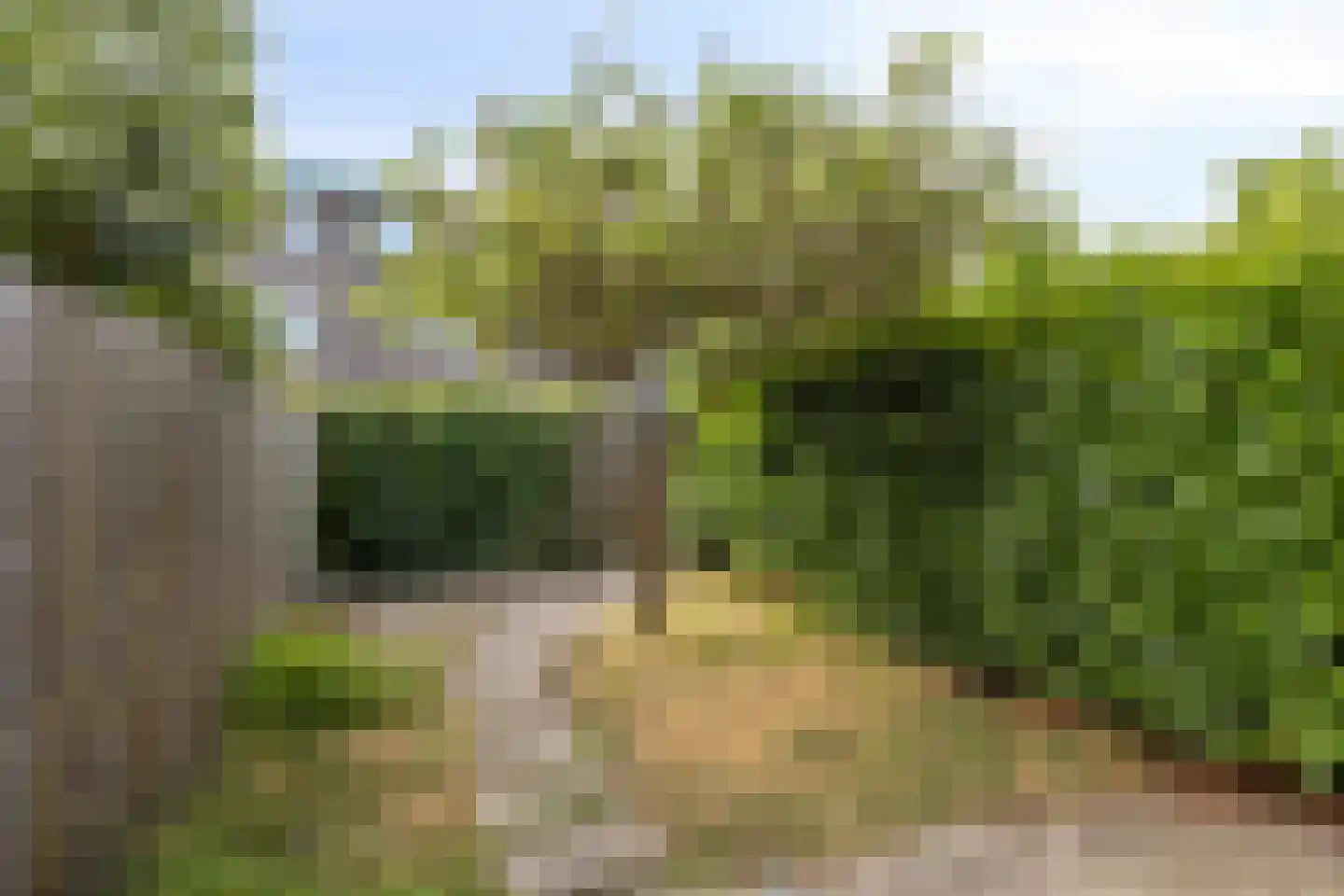 Biesbosch 33 Diemen thumbnail 33