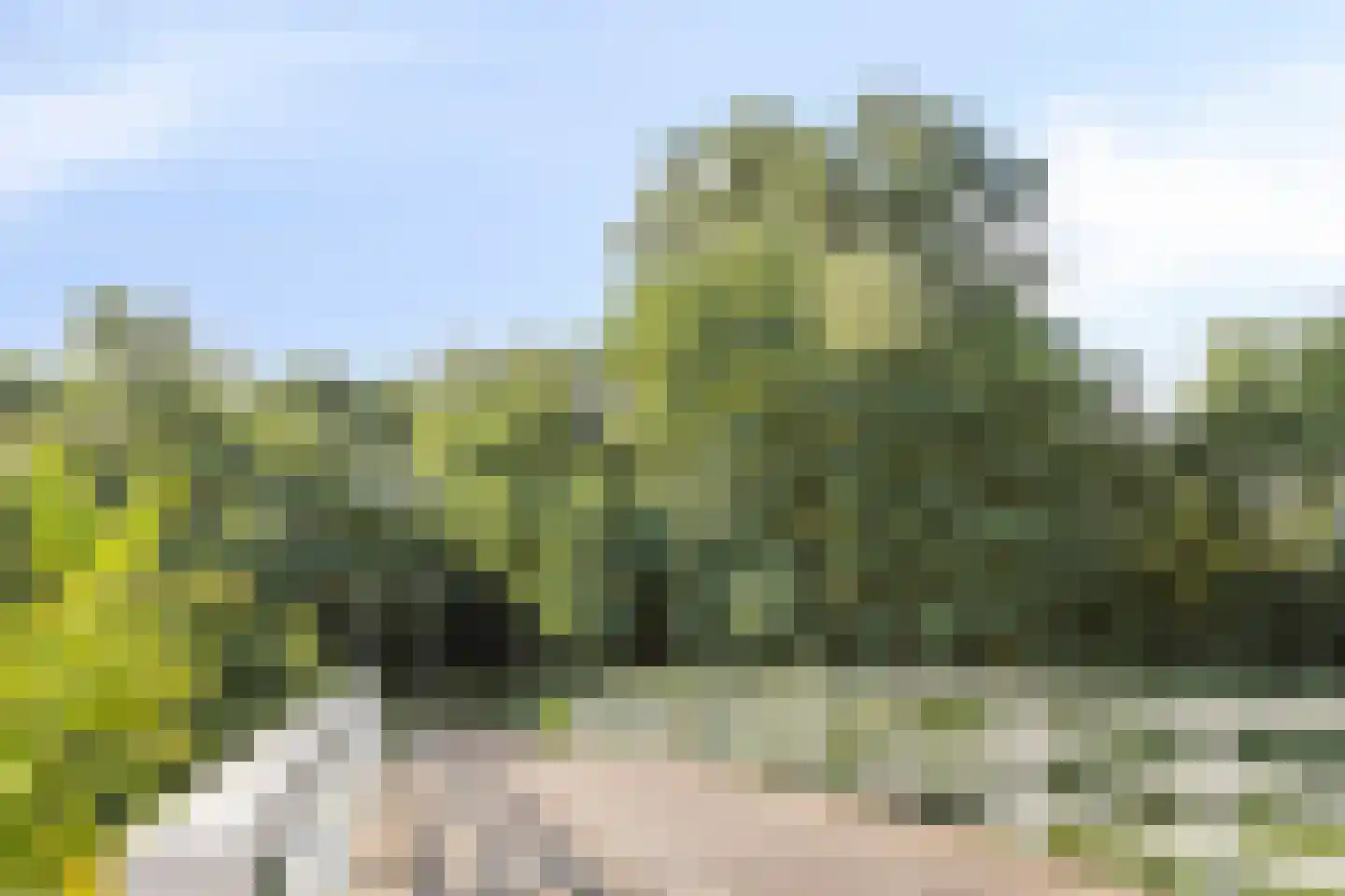 Biesbosch 33 Diemen thumbnail 39