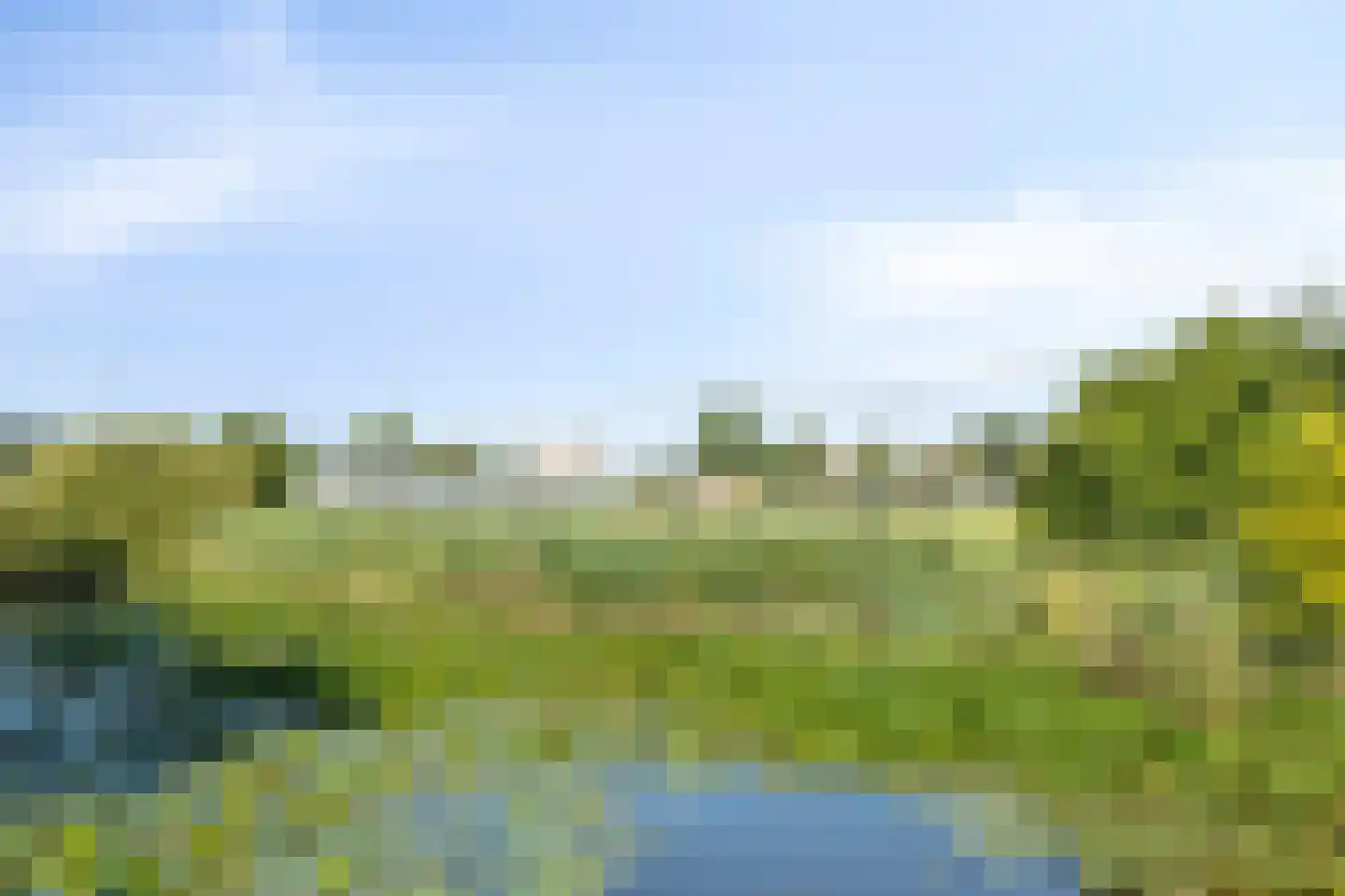 Biesbosch 33 Diemen thumbnail 42