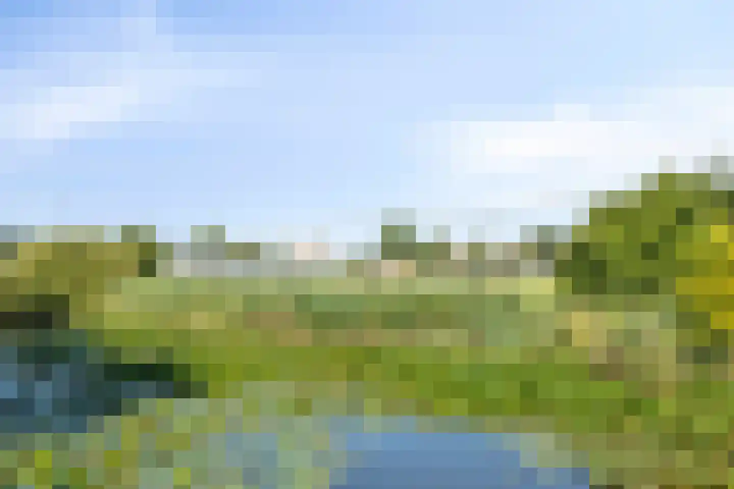 Biesbosch 33 Diemen thumbnail 43