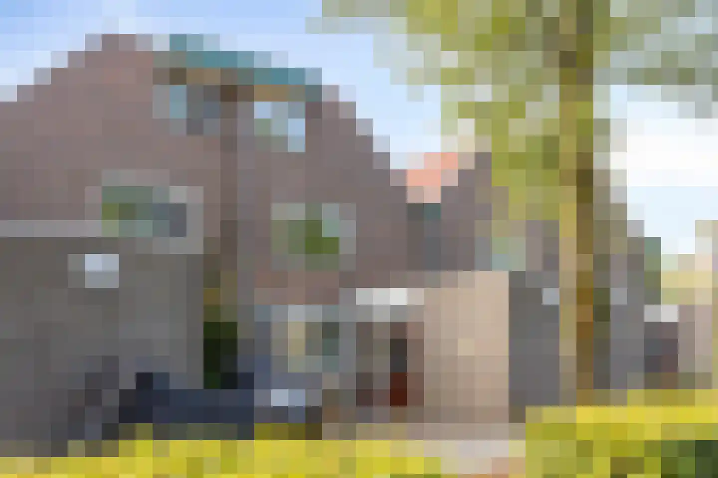 Biesbosch 33 Diemen thumbnail 5