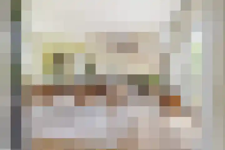 Biesbosch 4 Chaam thumbnail 14
