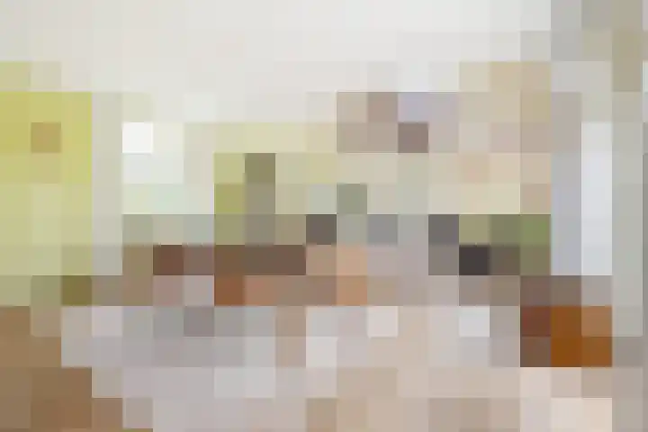 Biesbosch 4 Chaam thumbnail 15