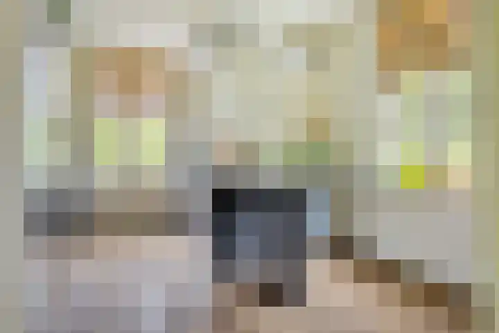 Biesbosch 4 Chaam thumbnail 29