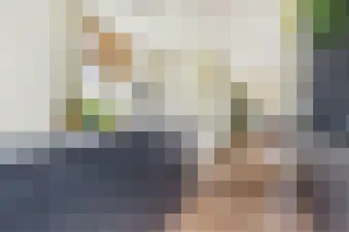 Biesbosch 4 Chaam thumbnail 33