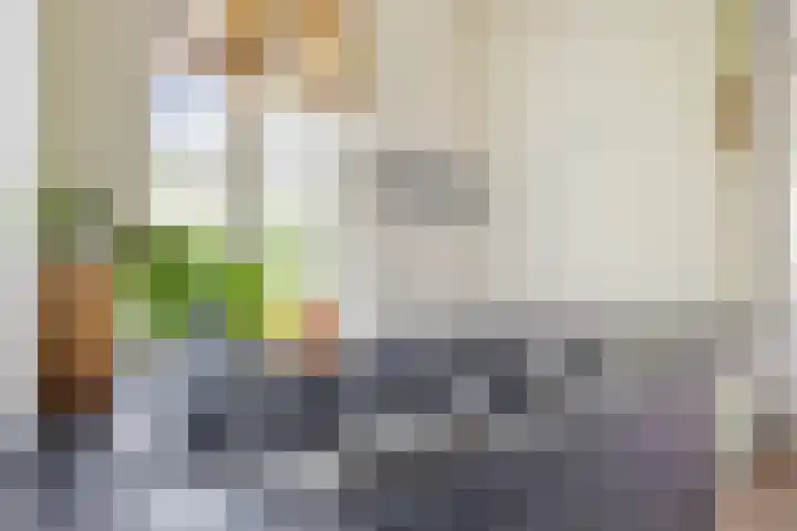 Biesbosch 4 Chaam thumbnail 34
