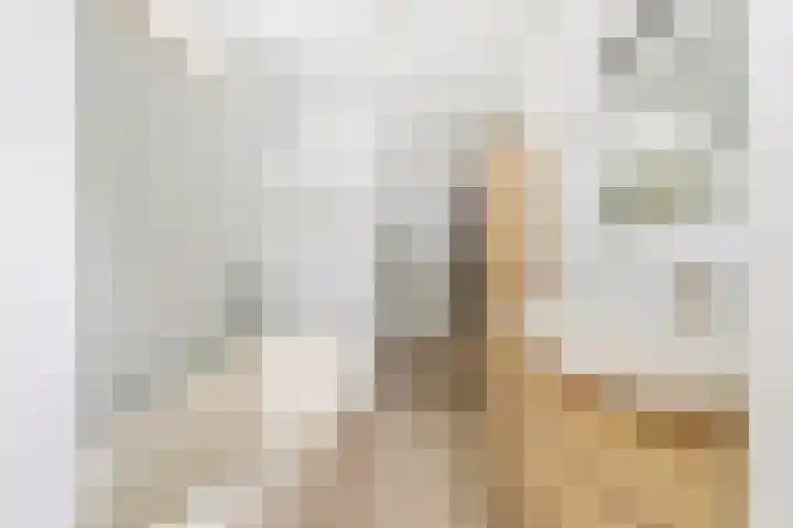 Biesbosch 4 Chaam thumbnail 4