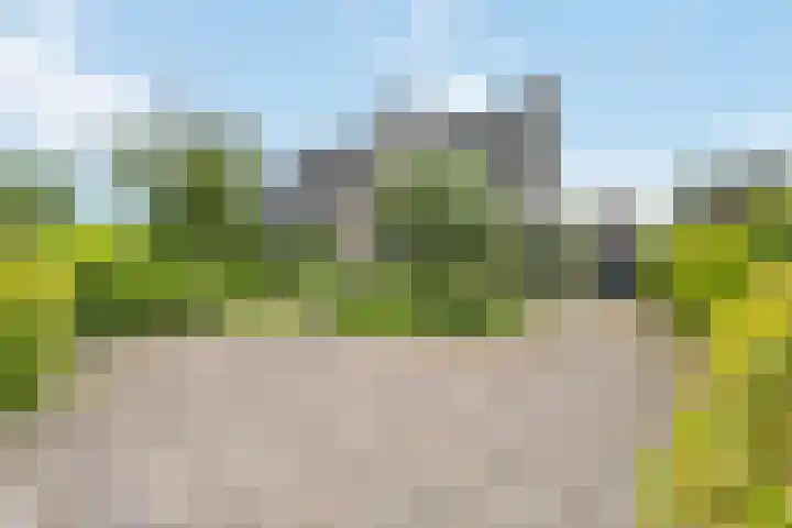 Biesbosch 4 Chaam thumbnail 5