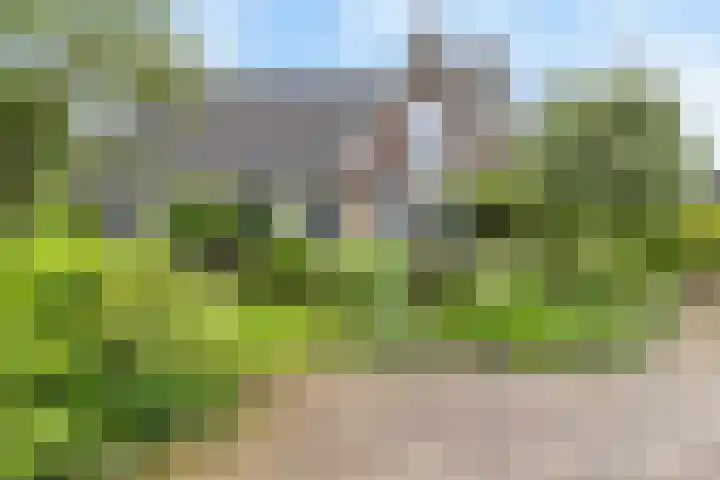 Biesbosch 4 Chaam thumbnail 6