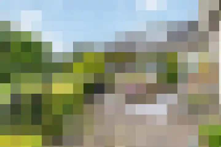 Biesbosch 4 Chaam thumbnail 67