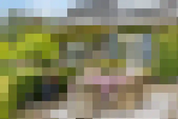 Biesbosch 4 Chaam thumbnail 68