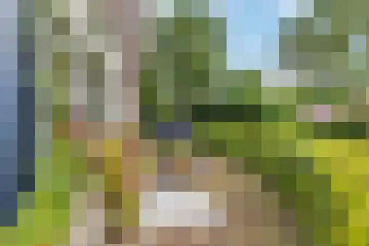 Biesbosch 4 Chaam thumbnail 69