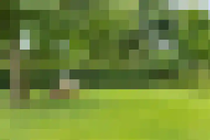 Biesbosch 4 Chaam thumbnail 70