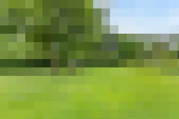 Biesbosch 4 Chaam thumbnail 71