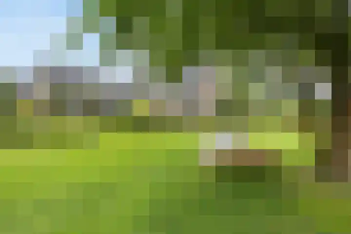 Biesbosch 4 Chaam thumbnail 73