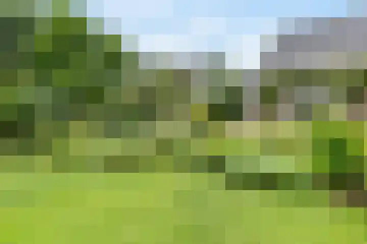 Biesbosch 4 Chaam thumbnail 74