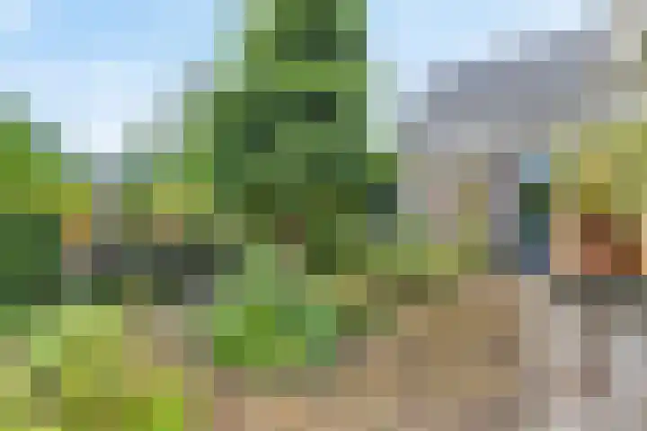 Biesbosch 4 Chaam thumbnail 75