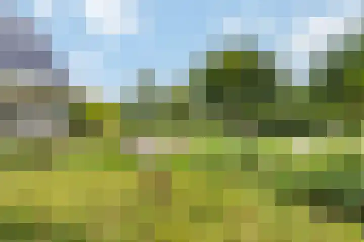 Biesbosch 4 Chaam thumbnail 76