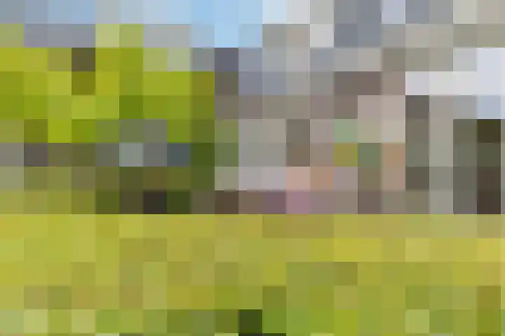 Biesbosch 4 Chaam thumbnail 77