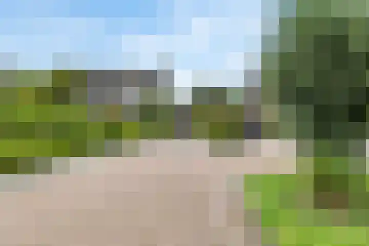 Biesbosch 4 Chaam thumbnail 79