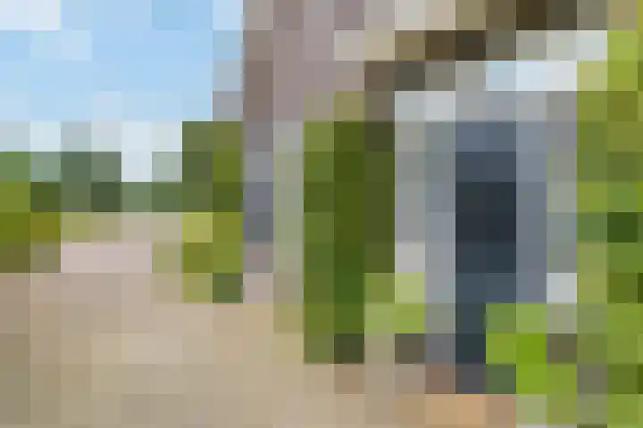 Biesbosch 4 Chaam thumbnail 8