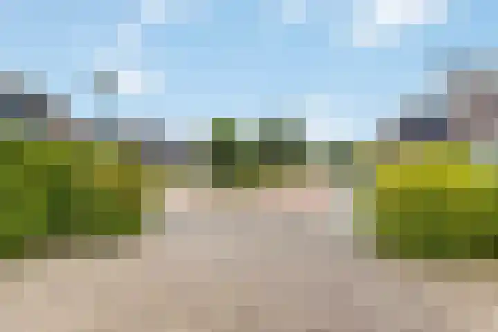 Biesbosch 4 Chaam thumbnail 9