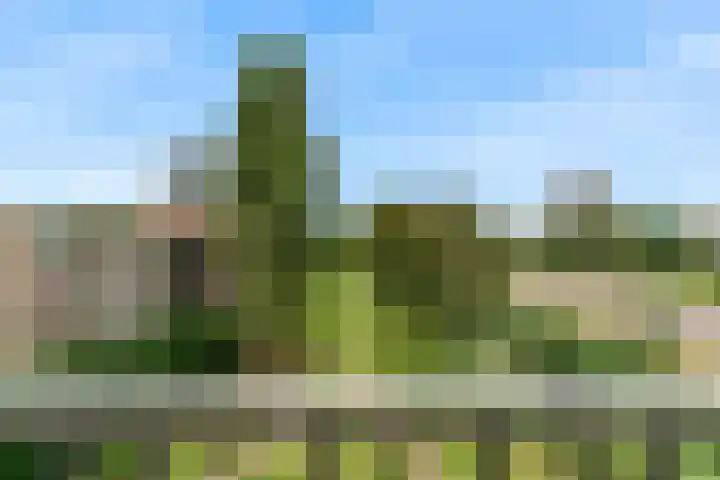 Biesbosch 79 Amstelveen thumbnail 26
