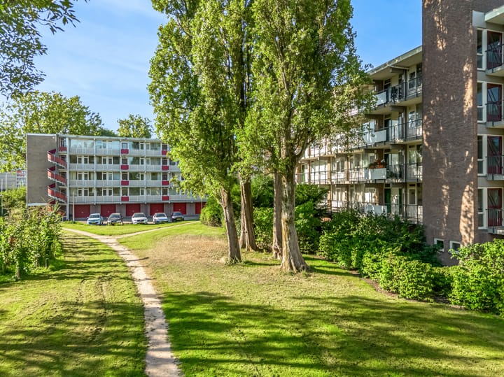 Biesbosch 87 en Amstelveen foto