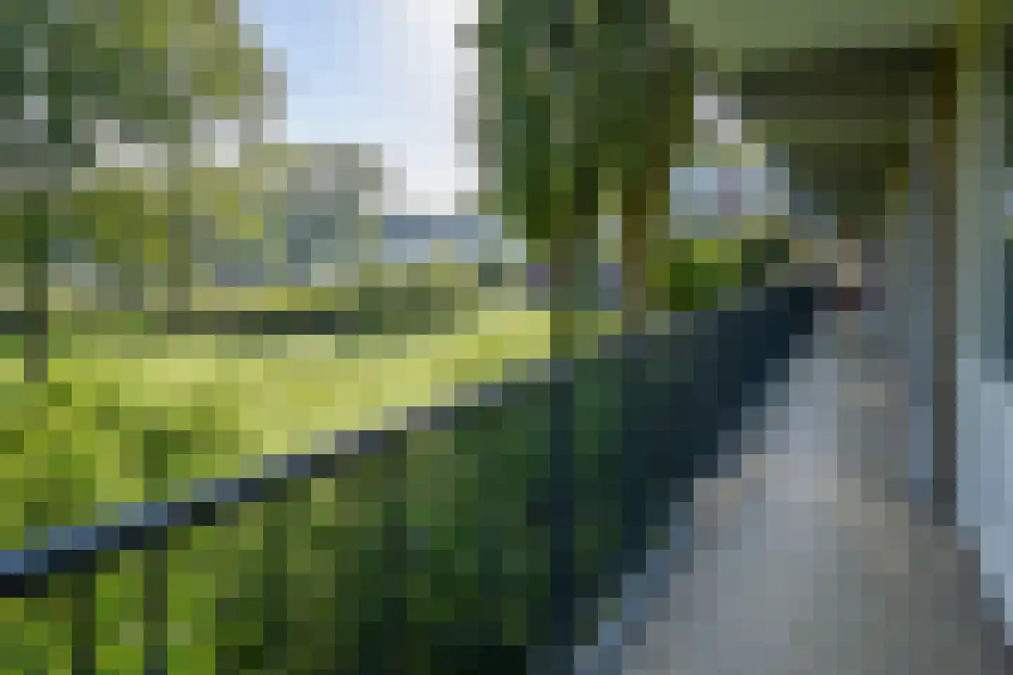 Biesbosch 95 Amstelveen thumbnail 19